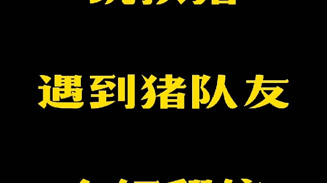 盘州拱猪游戏