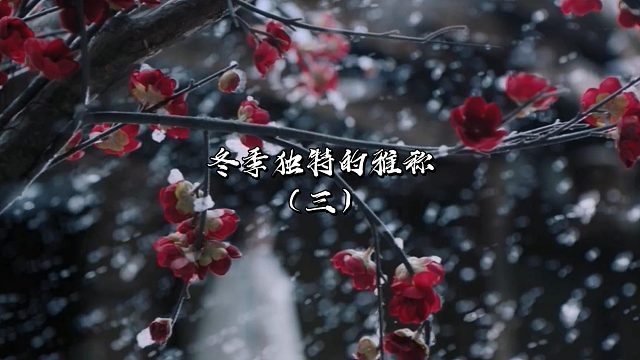 冬独特的雅称，您知道有哪些吗？