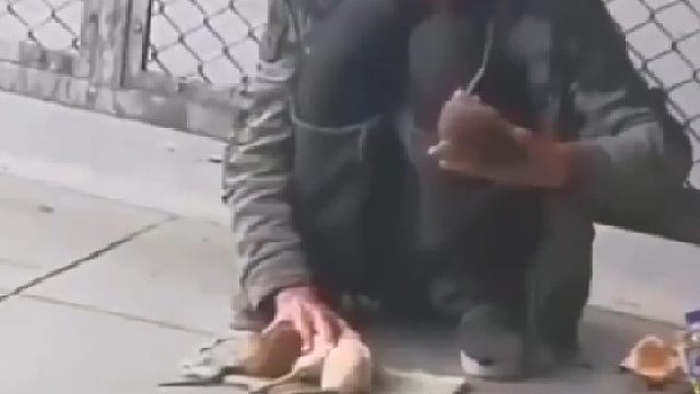 街头艺人和他赶不走的老鼠