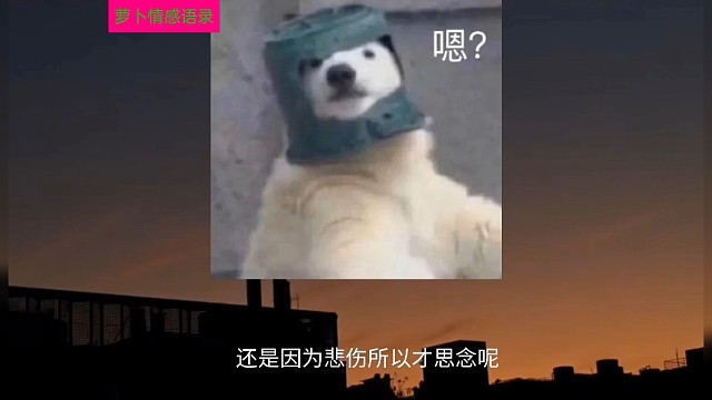 我们究竟是因为想起了某个人才不快乐
还是因为我不快乐才会去想某个人？