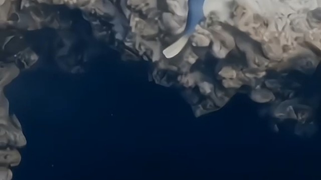 敢不敢一起潜下去