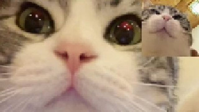 媳妇：晚安，兄弟们：上号