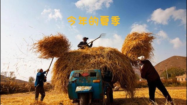 今年的夏季
