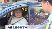 什么操作，司机礼让行人，竟然被交警拦停了？看到最后，故事的结局出乎意料…