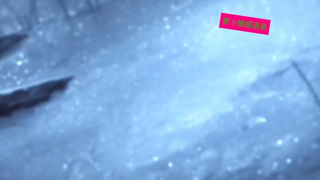 少年你要止步于此了吗？