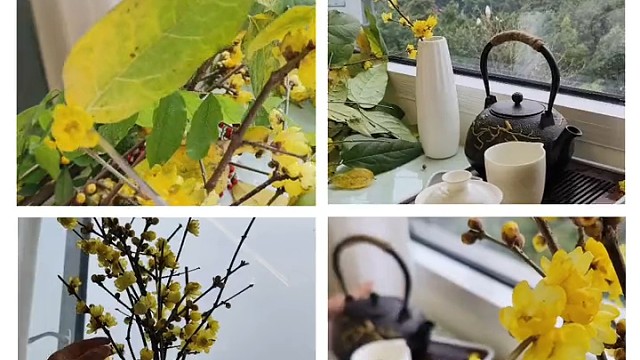 一天一个开心事