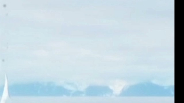 谢谢清风大哥给月解锁的鱼跃龙门