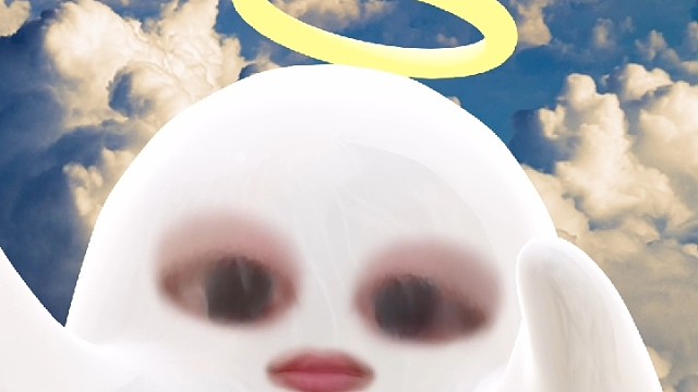 无文案，硬展示