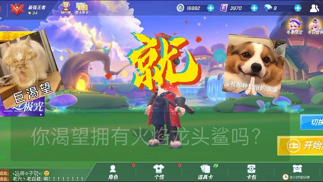 你渴望拥有火焰龙头鲨吗？