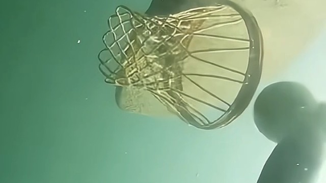 海底打篮球是一种怎样的体验