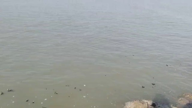 。