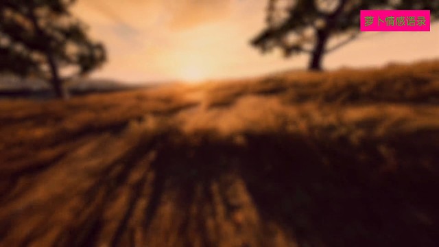 后来才知道被喜欢没什么了不起的被坚定选择