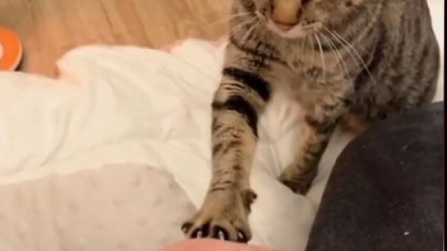 温暖治愈的一幕！万物皆有灵