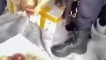 汪汪队立大功！缉毒犬偷吃百香果？结果让人赞不绝口