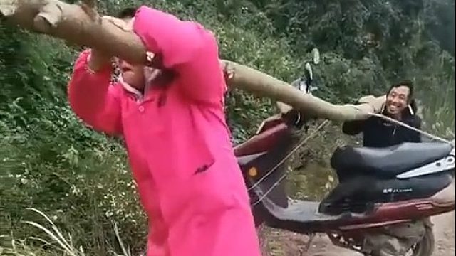 这两口子能过一块儿