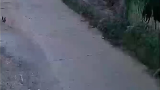 第一次压扁成这样的我