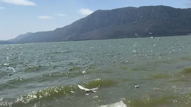 又是开心的一天