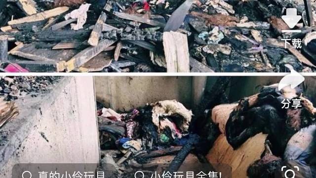 六岁孩子不上学父母火烧其玩具