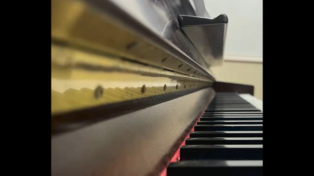 2023愿所有的美好～
与你们如约而至～
新年快乐～