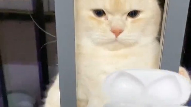 怎么出来的哦～