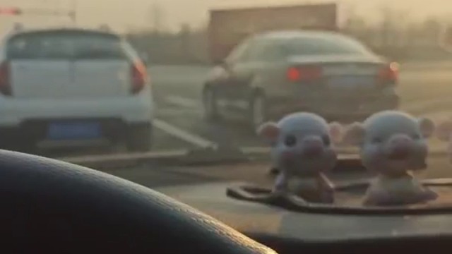 白天有工作要忙，晚上可能会回来的晚点，大家别跑空哦!