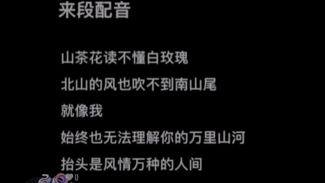遇见光追随光
