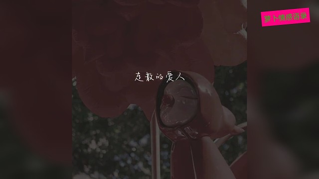 做善良的人，不争不抢，只是等待…………默默守在那个人的身边，好好守护…………
这一次，我不会跑，而你