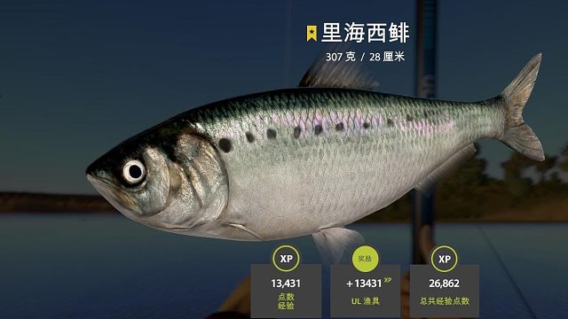 阿赫图巴河-里海西鲱