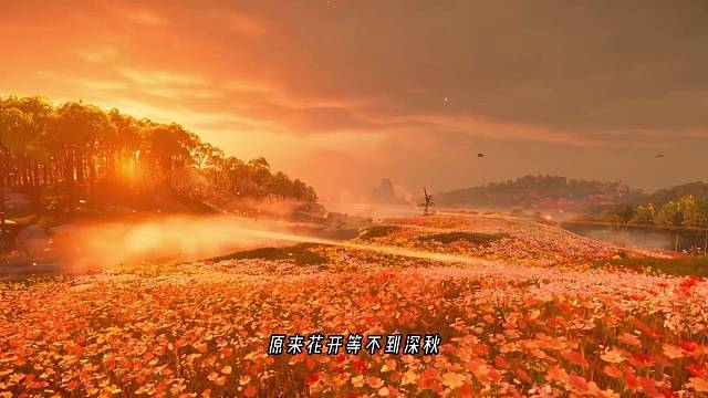 不以物喜，不以己悲。