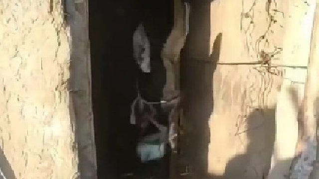 驴的主人死了，主人没有后代，给来的人们鞠躬