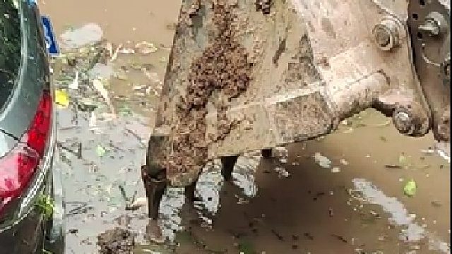 此时此刻车已经不重要了