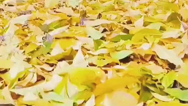 冬日有这样的风景你们觉得呢