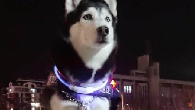 执行任务中，请勿靠近