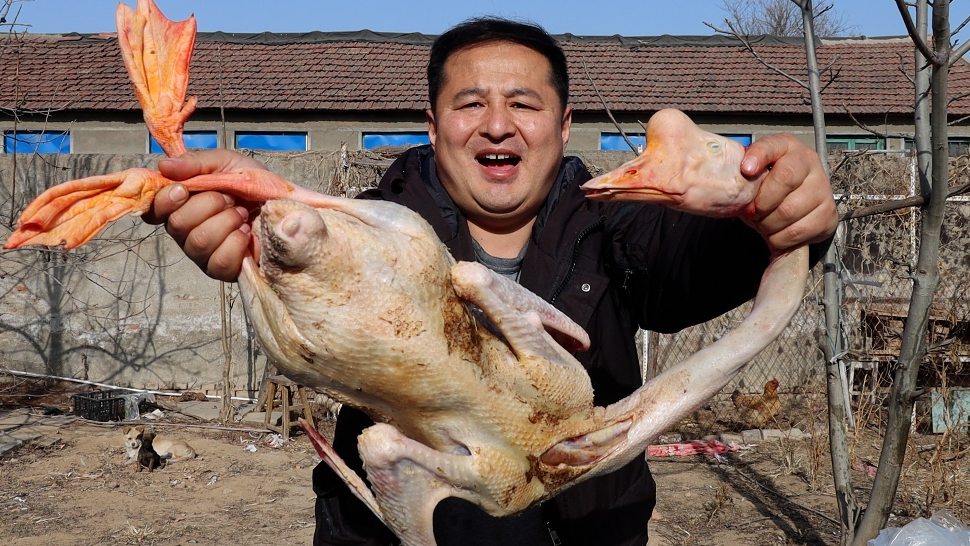 100元买了10斤大棒骨，做成“酱大骨”，一口肉一口蒜，乐无边