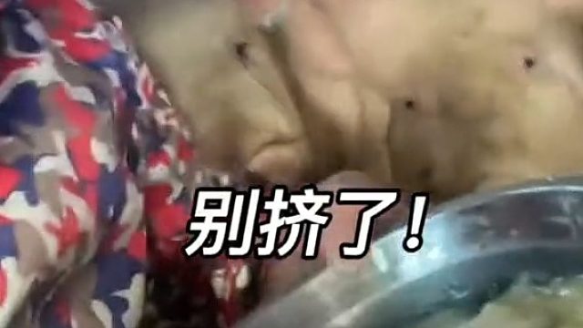 男子回家过年被隔离在猪圈，“有这么多兄弟陪我 我不孤单”