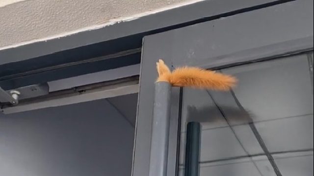 他的脚脚有一点可爱 但他为什么这么想不开