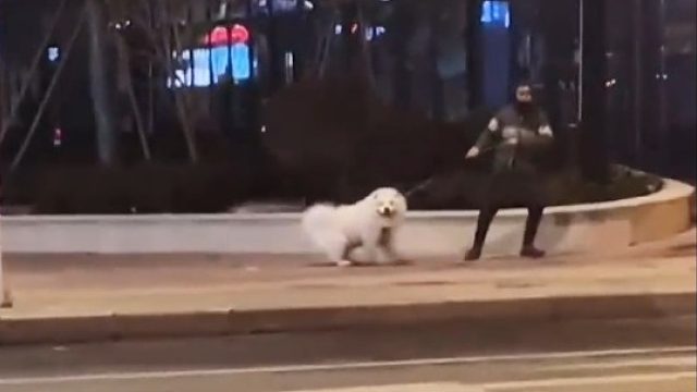 男孩子都是那么不矜持吗