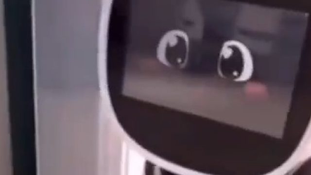 她在哪，我要把它搬回家