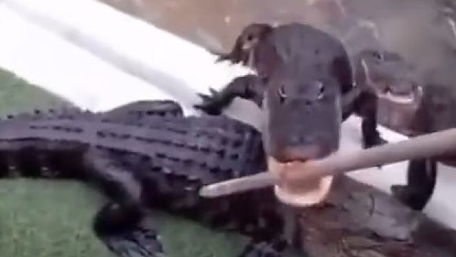 还TM有一条帮着管纪律