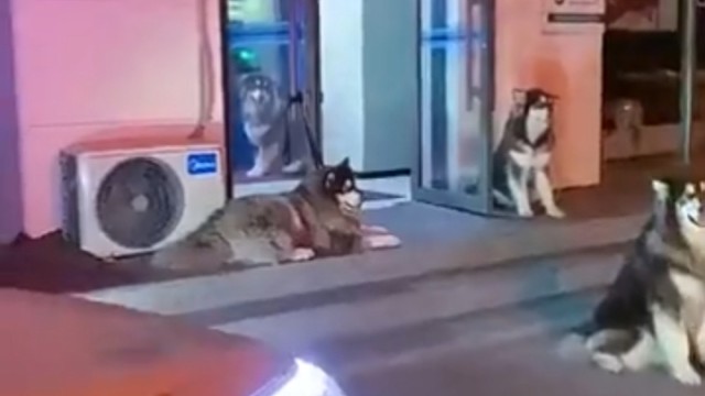 女孩子深夜出门取钱的正确打开方式。