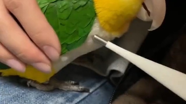 穿羽绒服的温度高点也正常