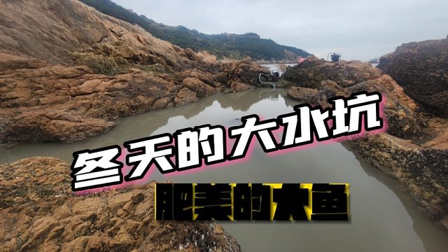 冬天大水坑肥美大鱼让人眼馋，这么多渔获大家很久没见过了吧