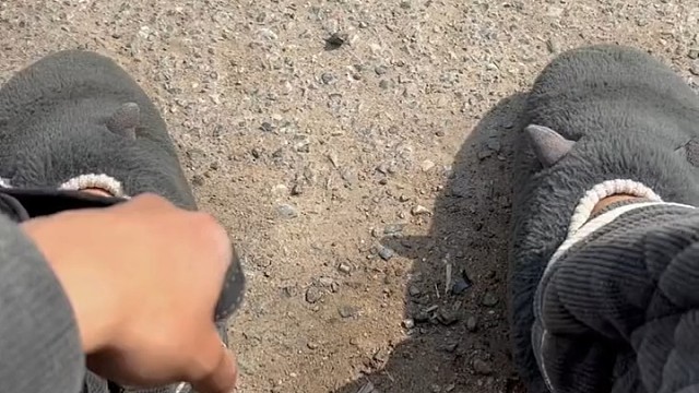 人不如狗，我是越听越气