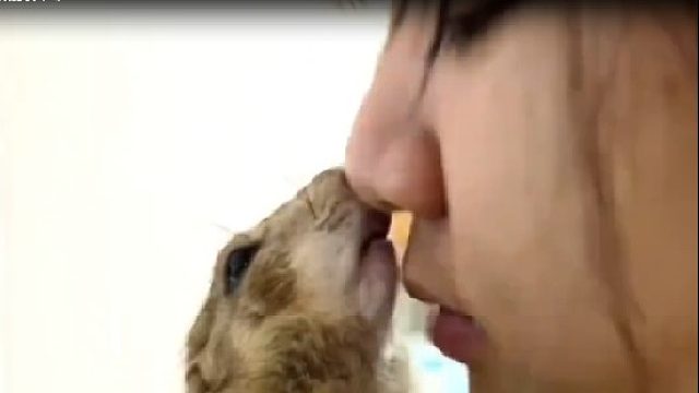 泰国小姐姐把宠物土拨鼠交给爷爷，放假回来差点没认出