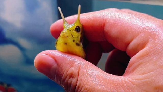 吓了一跳！效率太高了