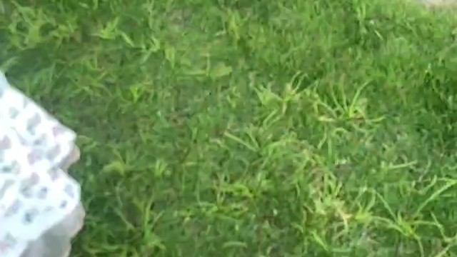 想念长发的夏天