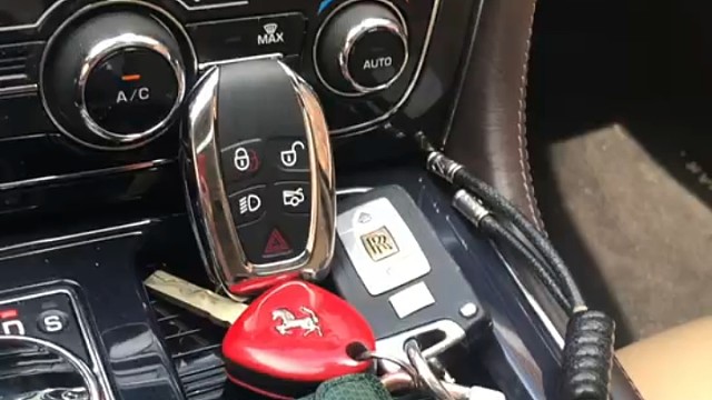 小豹子在家都胖了，拉出来溜溜