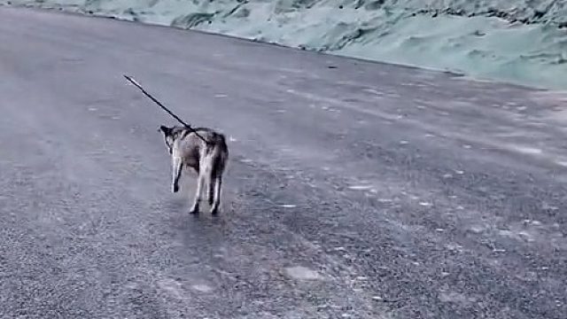 你最终会怎么样？你是否能撑过去