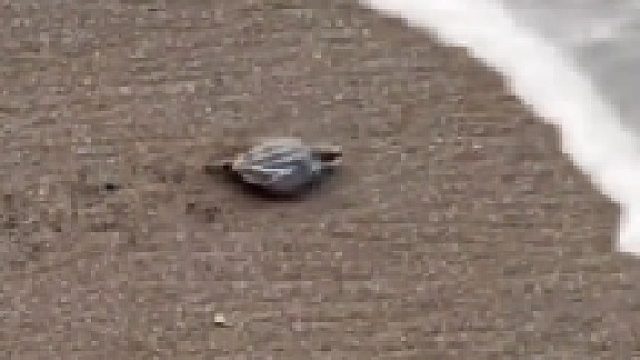 慢了一步多走两里路