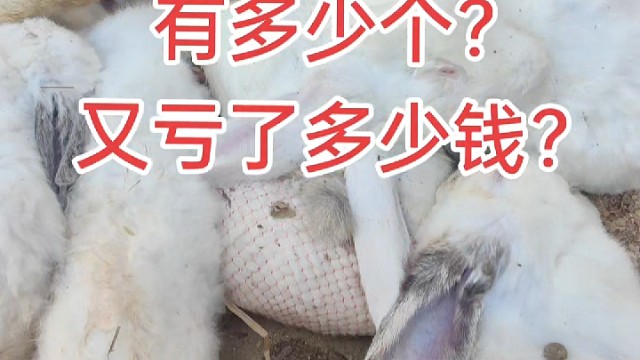 哎！运输拿袋子装，又太挤压，现在知道中间商也不好做了吧？